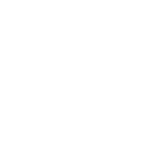 financial markets icon